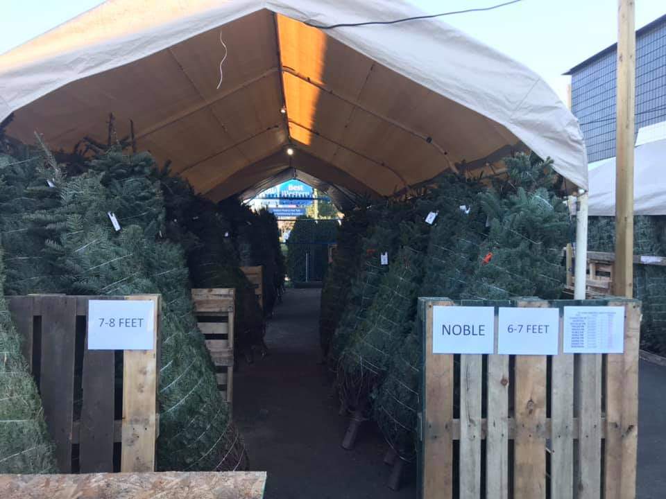 1st Haney Scouts tweet media