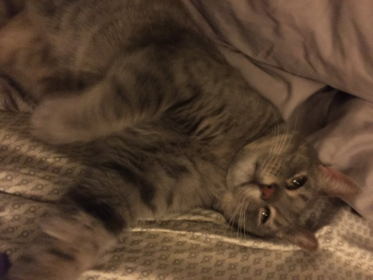 feelign sleepy n squishy
