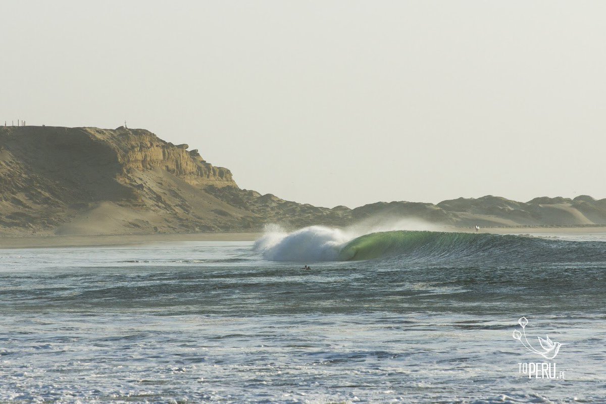 toperupe's tweet photo. 😍 Lobitos, un paraíso del surf.
👉 Sabías que Lobitos tiene olas izquierdas de gran calidad? Estas increíbles olas  pueden llegar hasta 200 metros de largo.

📍Lobitos, Talara, Piura, Perú

#ToPeru #TravelToPeru #ToPeruPe https://t.co/wl5jbYWMmO