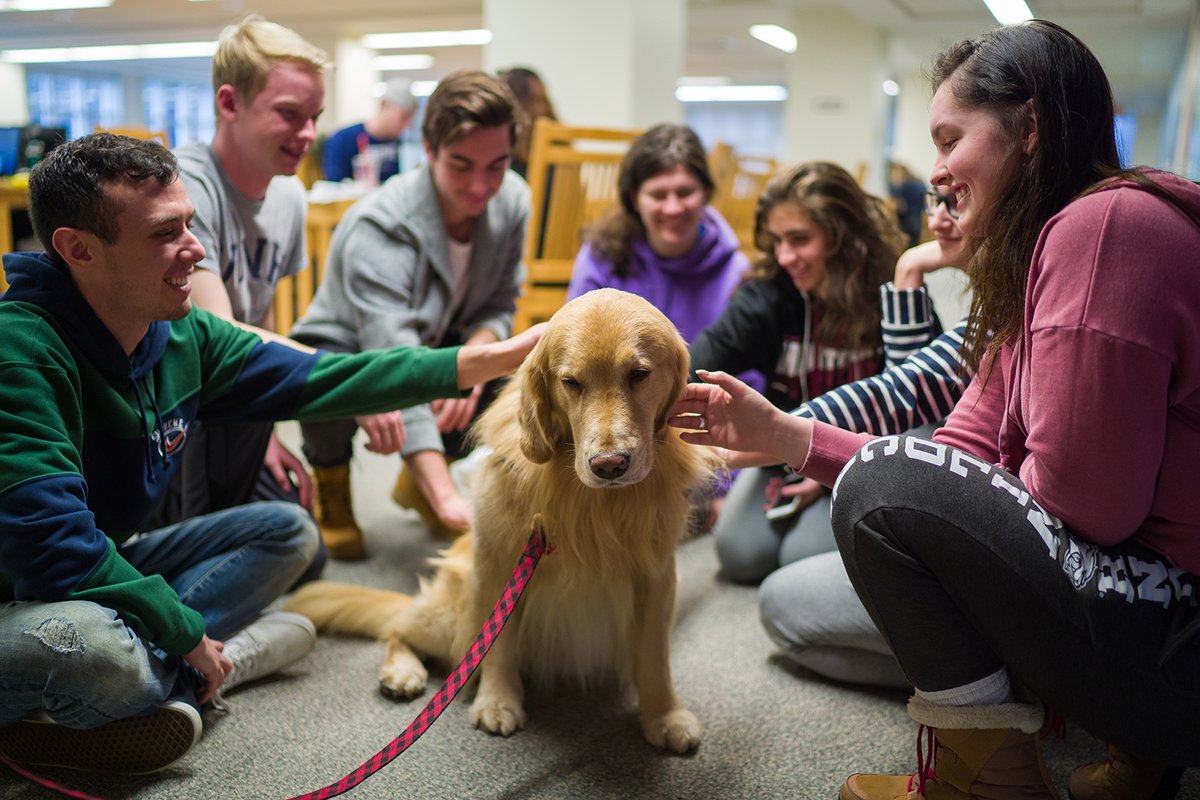 UNHAlumni's tweet photo. These days, Frazzle Free Finals is paws down the best part of finals week. #unhfff https://t.co/LipH2VR42k