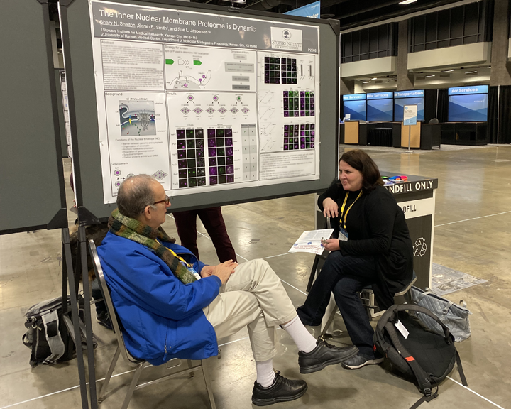 ScienceStowers's tweet image. More Stowers fun from #ASCBEMBO19: the Jaspersen Lab had posters from Research Specialist Andrew Bestul and Postdocs Joe Varberg &amp;amp; Shary Shelton, who's chatting with Joel Goodman, PhD, from UT Southwestern. @SueJaspersen #ASCBEMBO2019