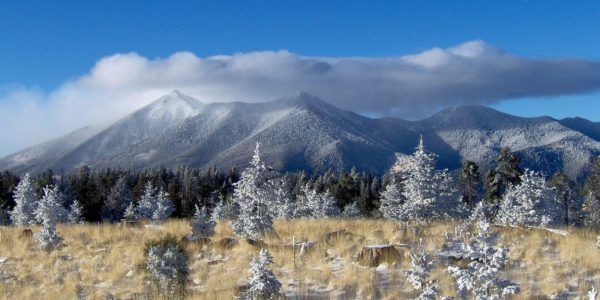 NAUAlumni's tweet image. @NicheSocial ranks Flagstaff as the #2 Snowiest City in America ❄️☃️ #PridePoint #IHeartFLG  buff.ly/2YIz388