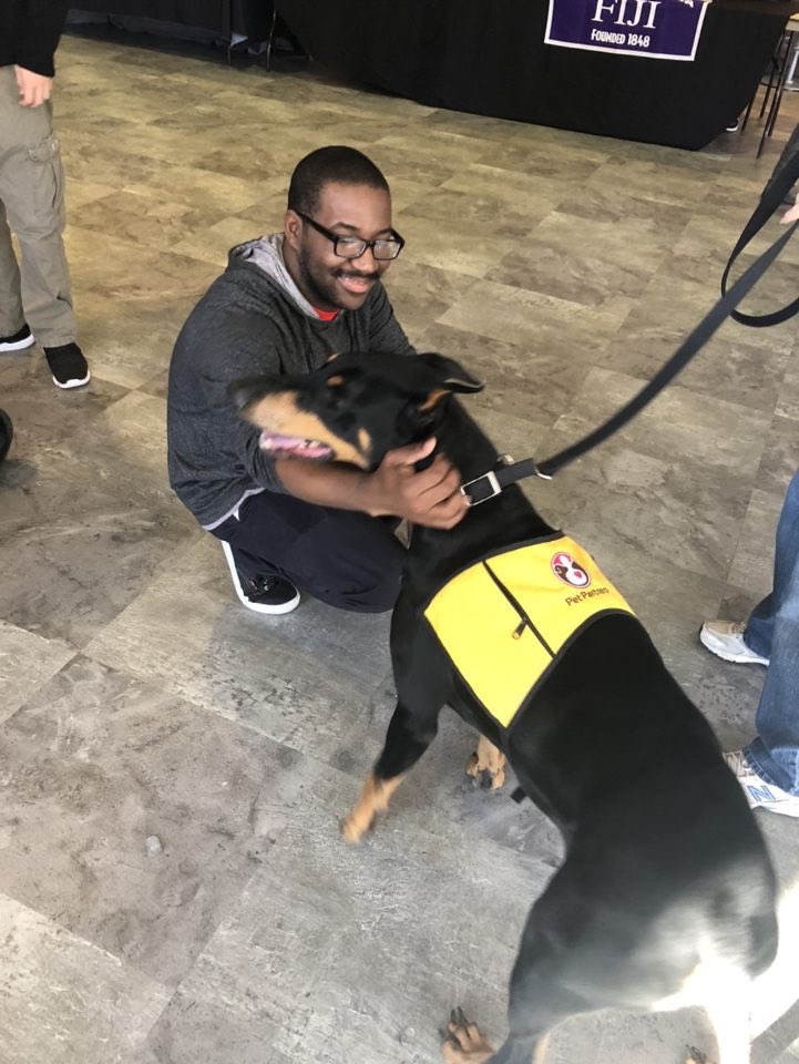 APSUFIJI's tweet photo. What is the best thing to do when stressing out about finals? Playing with the cutest puppers in town, that’s what! The Fall 2019 Paws to Relax was a joy to put on see so many students come out! Can’t wait to do this event again! 🐕🌴🐶💎
.
#fiji #pawstorelax #finals https://t.co/8z3lV3tAsp
