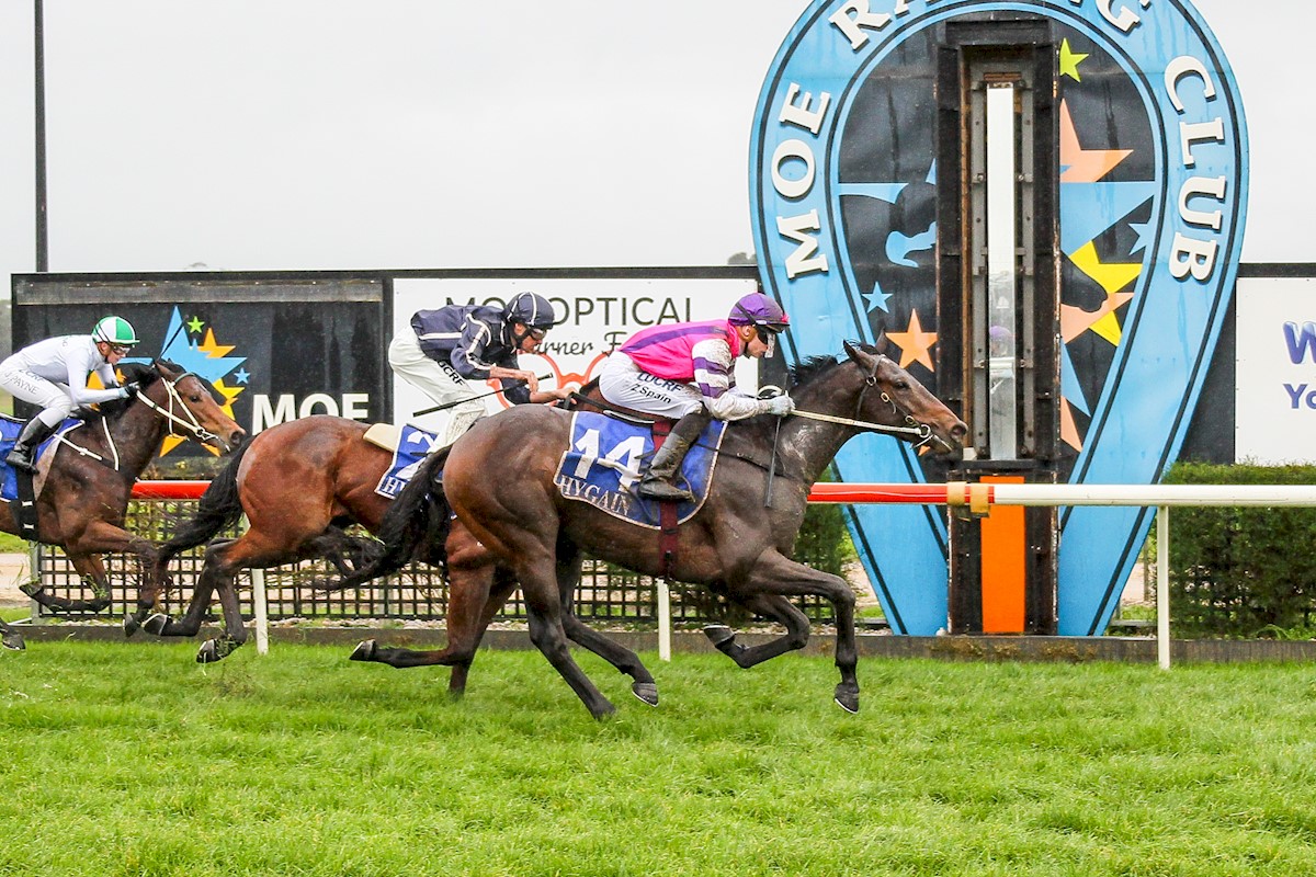 UnitedSynd's tweet photo. Two nice chances at Sandown today for @MickPriceRacing @MichaelRhysKent in BELLA AMORE race 1 and SCORPIUS race 5. Both in suitable races and should be running well! Good luck to all involved #FingersCrossed https://t.co/qJd6eC28nX