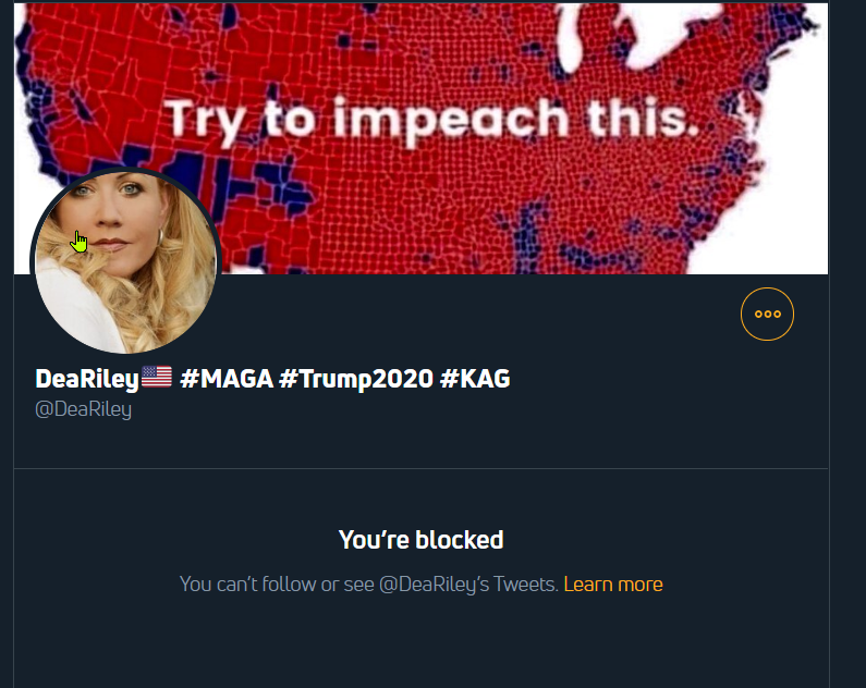 SocioEqualizer's tweet photo. @socioEqualiser @WhoInvitedSam @DeaRiley lol she blocked this account too haha

"i'm not running"

Sure Jan. https://t.co/wMr2FE3qJ2