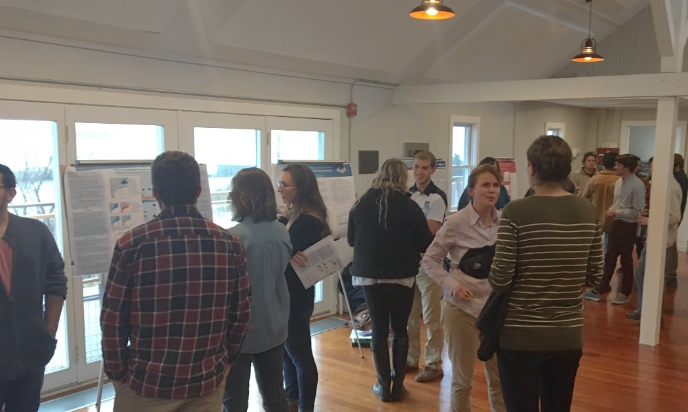 URIGSO's tweet photo. Lots of great discussion at today's Biological #Oceanography Poster Symposium at #URIGSO. Students presented their research on eutrophication, invasive species, aquaculture, #climatechange impacts and so much more! https://t.co/fskESMIkTd https://t.co/kEOzrSBHy1