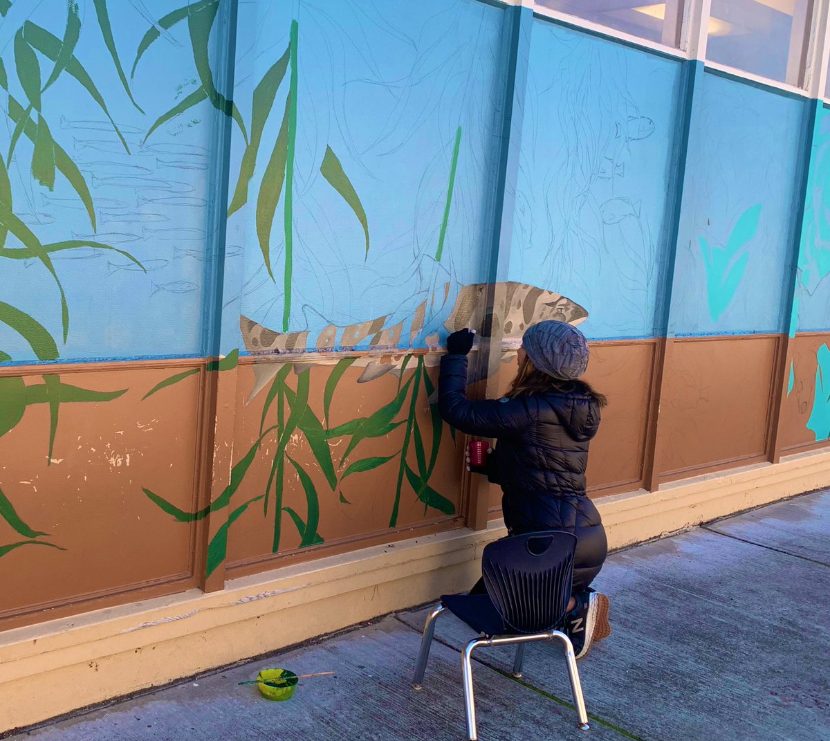 meannie's tweet photo. Spent the morning zenning out and painting my new friend who I will temporarily name Bruce. #murals #kelpforest #schoolart #education #smfcsd #california #montereybay https://t.co/2PoYhVpdir