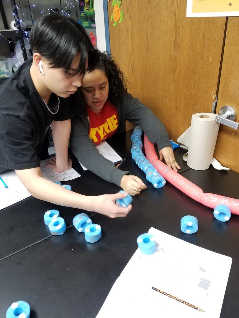 Modeling protein synthesis in biology today <a href="/msmatson43085/">Stephanie Matson</a> #ItsWorthIt #WeAreTW #bioislife #TESOL