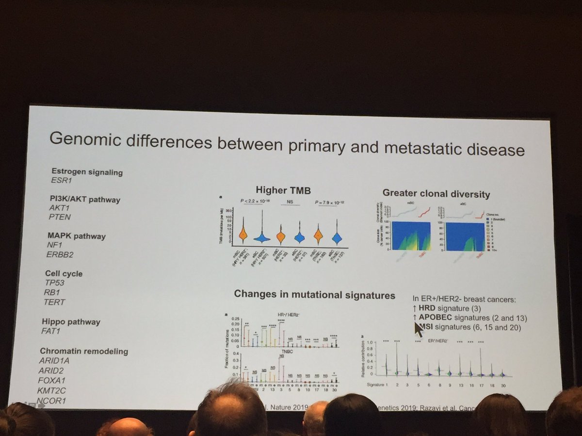 matteolambe's tweet photo. Very elegant presentation on genomic landscape of #EndocrineResistant metastatic #BreastCancer at the #SABCS19 
#OncoAlert @ScaltritiLab @FAndreMD @LuigiFormisano_ @antgiorda https://t.co/iw3Aq7BDx0