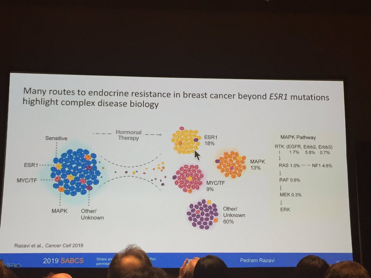 matteolambe's tweet photo. Very elegant presentation on genomic landscape of #EndocrineResistant metastatic #BreastCancer at the #SABCS19 
#OncoAlert @ScaltritiLab @FAndreMD @LuigiFormisano_ @antgiorda https://t.co/iw3Aq7BDx0