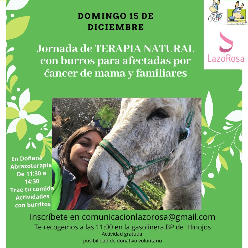 #LazoRosaSevilla organiza una JORNADA DE TERAPIA con Burritos para afectadas por cáncer de mama y familias. Domingo 15, en colaboración con <a href="/A_BurritoFeliz/">Asociación El Burrito Feliz</a> , los asnos de #DoctorBurro en Doñana ayudarán a tu bienestar. Apúntate en comunicacionlazorosa@gmail.com🌿🌳🙂