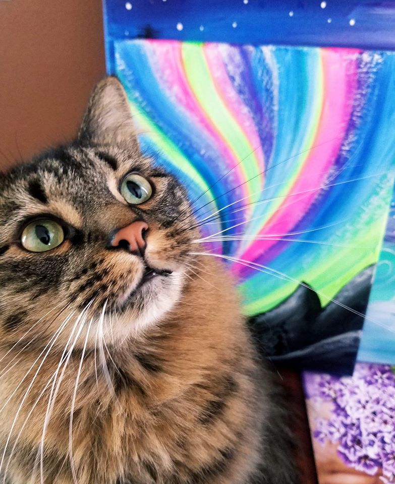 PaintYrPoison's tweet photo. Mr Boodles looking magical in front of one of our new #blacklight paintings! Everyone knows #felines have a superior taste in #artwork &amp; #kibbles. 😻
Check out our whole gallery @ https://t.co/Va0dYOKb7n

#cats #catladies #animallover #paintparty #painting @CatBot13 @517Living https://t.co/Az6RVAUUfs