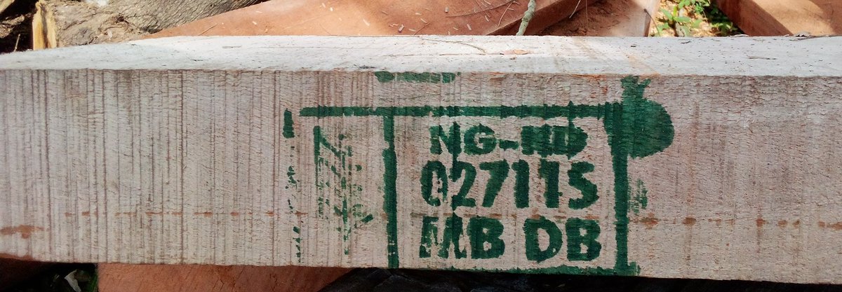 BlackcamelE's tweet photo. We protect our timber from leakages through fumigation which protect it from pest.
When you buy our product, you are guaranteed of longevity and clear conscience of contributing to a greener environment by controlled carbon emmision.
#BlackCamel #SustainableTimber #LegalLogging https://t.co/Ax9pNcRSeC