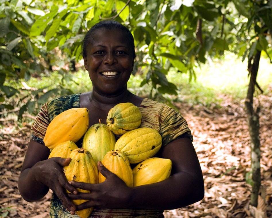 ApexCaelestis's tweet photo. Global chocolate market is forecasted to reach $140bn by 2024, with CAGR of 4.5% during 2019 - 2024 forecasted period...A farmer in Cote d’Ivoire, where more than one-third of the world’s cocoa is produced, made only a little over $9/day. The farmer had never tasted chocolate! https://t.co/cVMZTinygU