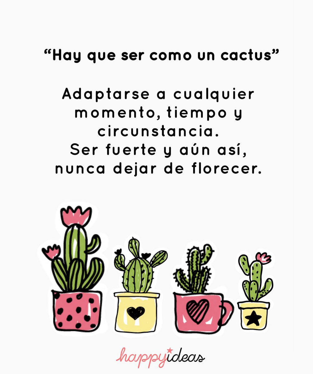 Artista Maryanne Jones Exclusivo Happy Ideas on Twitter: "Queremos enseñaros el “rinconcito Cactus” que  hemos montado en nuestra PopUp Store navideña. Porque regalar un cactus con  una maceta bonita siempre es una buena idea 😉 https://t.co/c1AlptBsVs" /