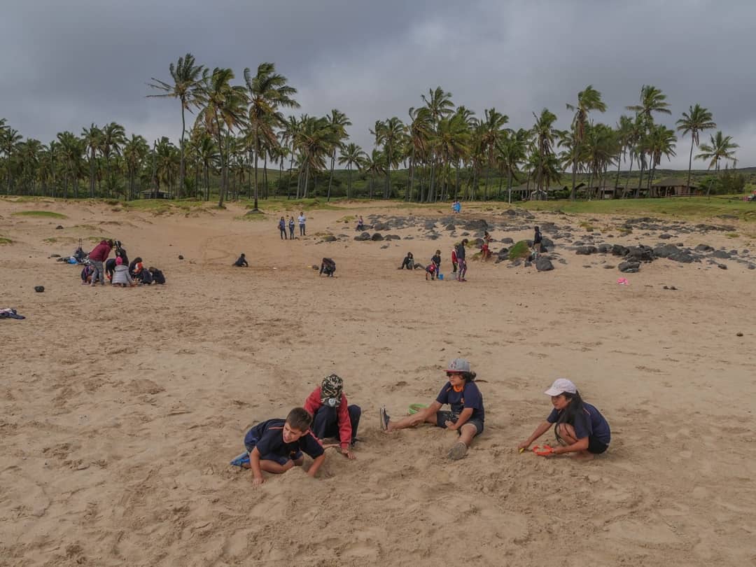 Comunidad Indígena Ma'u Henua tweet media