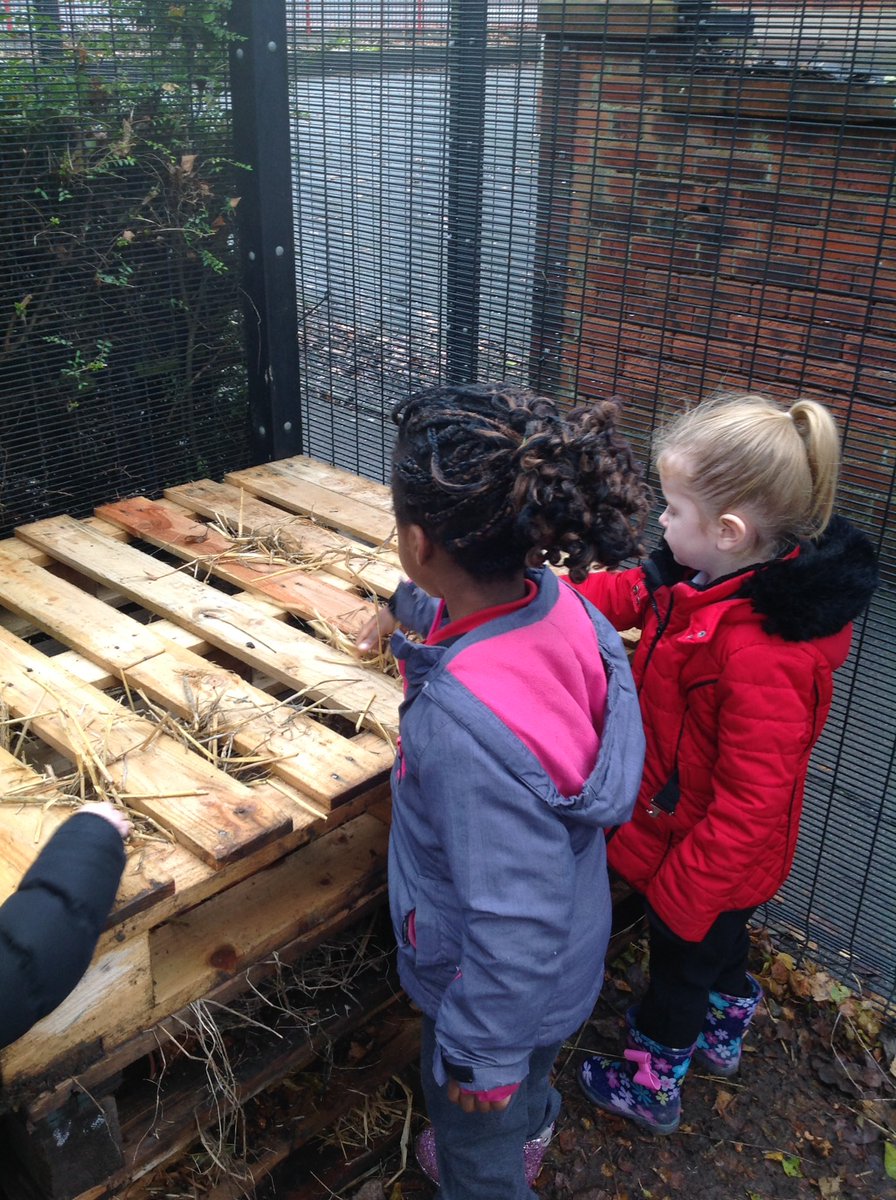 HForestschools's tweet photo. Flash back to dryer days @EYFSHeath making their bug hotel in the nursery garden #Autumnfun #caringfornature #bughotel #workingtogether #RecycleReuseRelove https://t.co/ctUgn9niMj