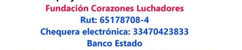 Daniela Chávez tweet media