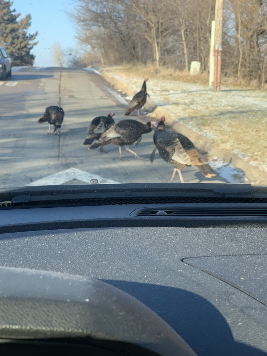 They even don’t want you to leave Westside.