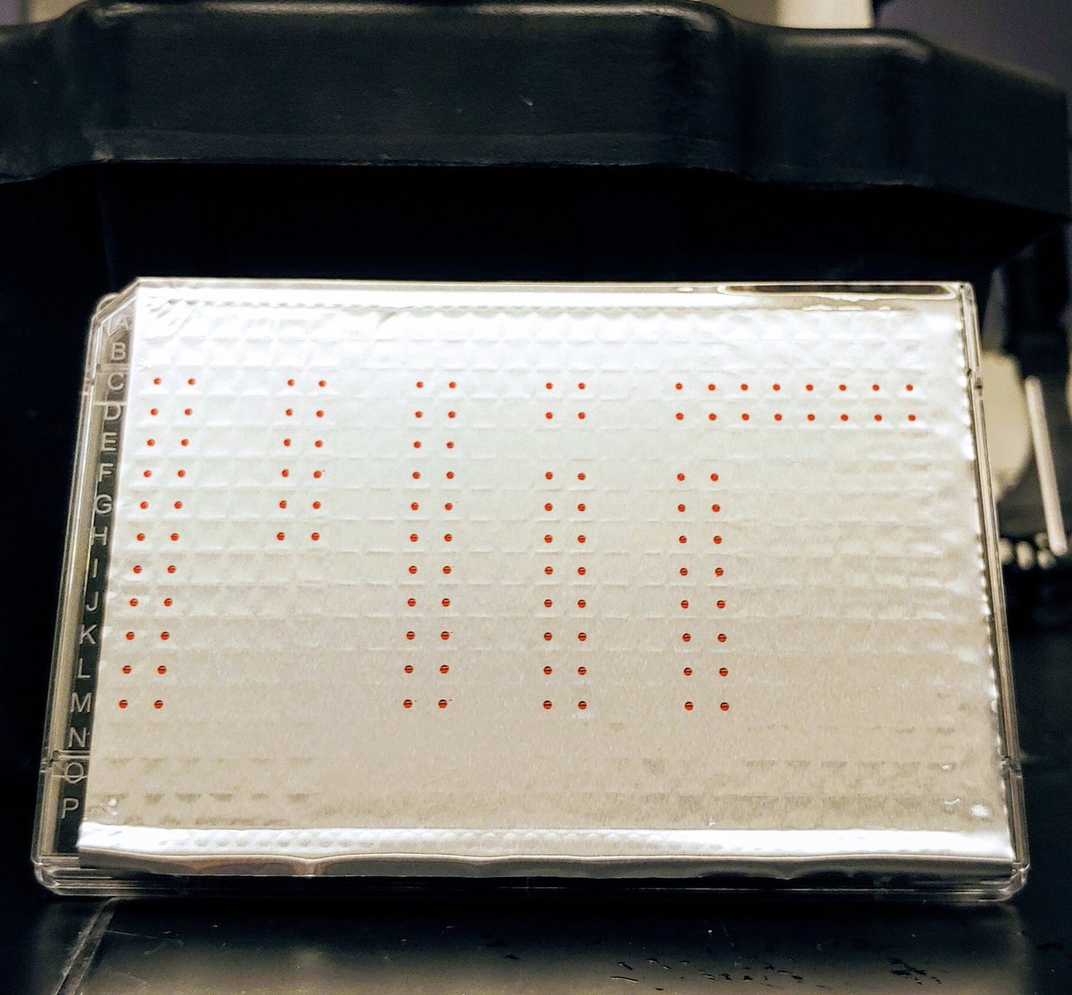 k__subramanyam's tweet image. When the @kochinstitute HTS Core gets a new toy, we make art #phdlife #science #stem #robots 
@Mjcotler @MoonstarMA @master_blaster