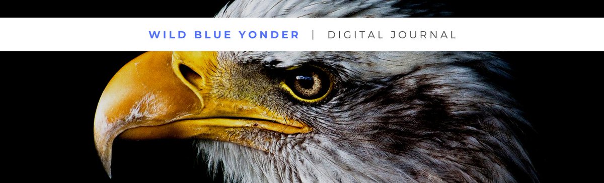 Air University Press announces the upcoming launch of Wild Blue Yonder, a digital journal focusing on air, space, and cyber power and linking theory with operational experiences. Official launch date: 6 January 2020. Stay tuned for more information.