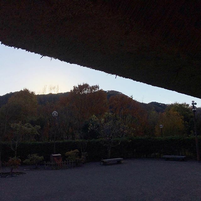 kominka_en's tweet photo. #紅葉 #古民家 #古民家園 #建築物 #茅葺 #茅葺き #茅葺屋根 #茅葺き屋根 #日本 #神奈川 #相模原 #kominka #kayabuki #japan #kanagawa #sagamihara #rethatch #rethatching #reroofing #strawroof #autumn https://t.co/YuttaCpygQ https://t.co/UYKpXVEiV0