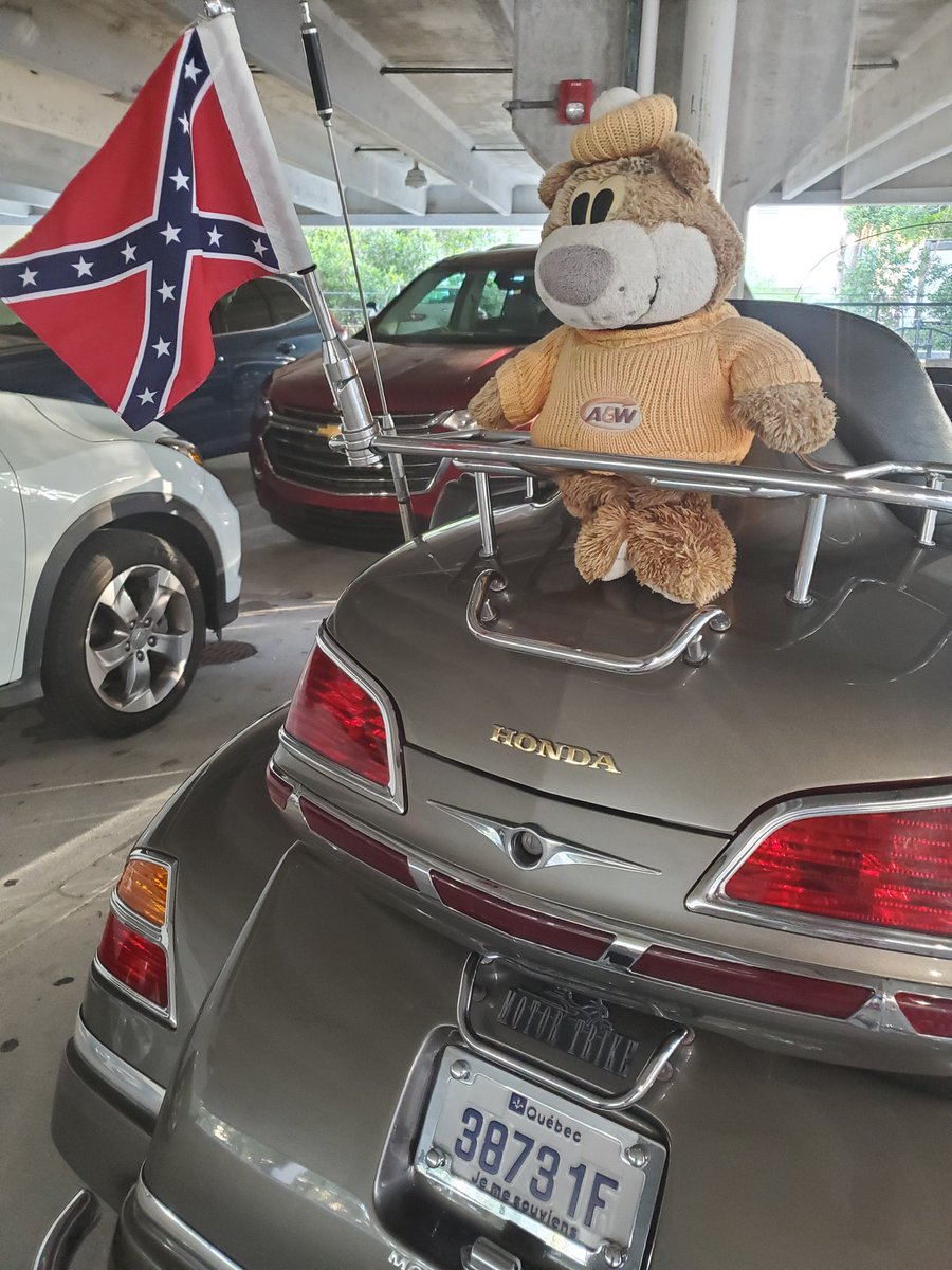 MSGCapital's tweet photo. Confederate Flag: check
Quebec License Plate: check
A&amp;W Bear: check

#OnlyInNaples https://t.co/oCQefrbh9u