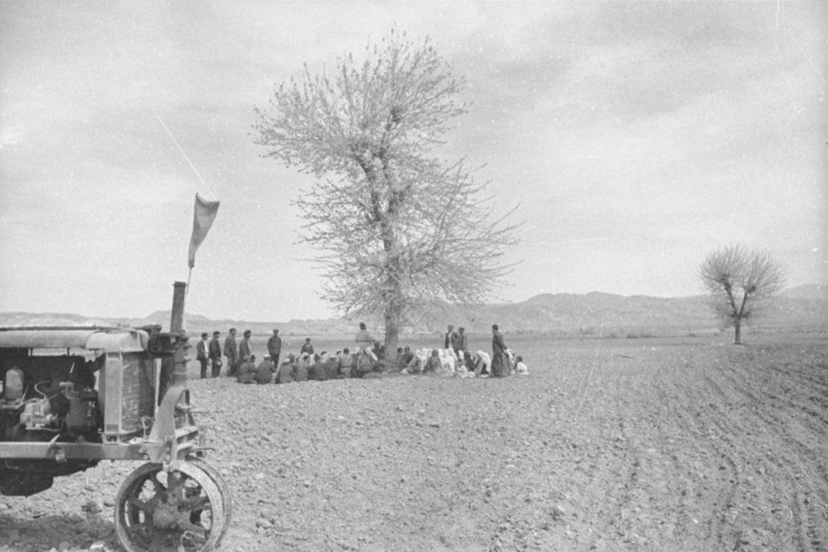 Erkak azoni hayajonlantiradi