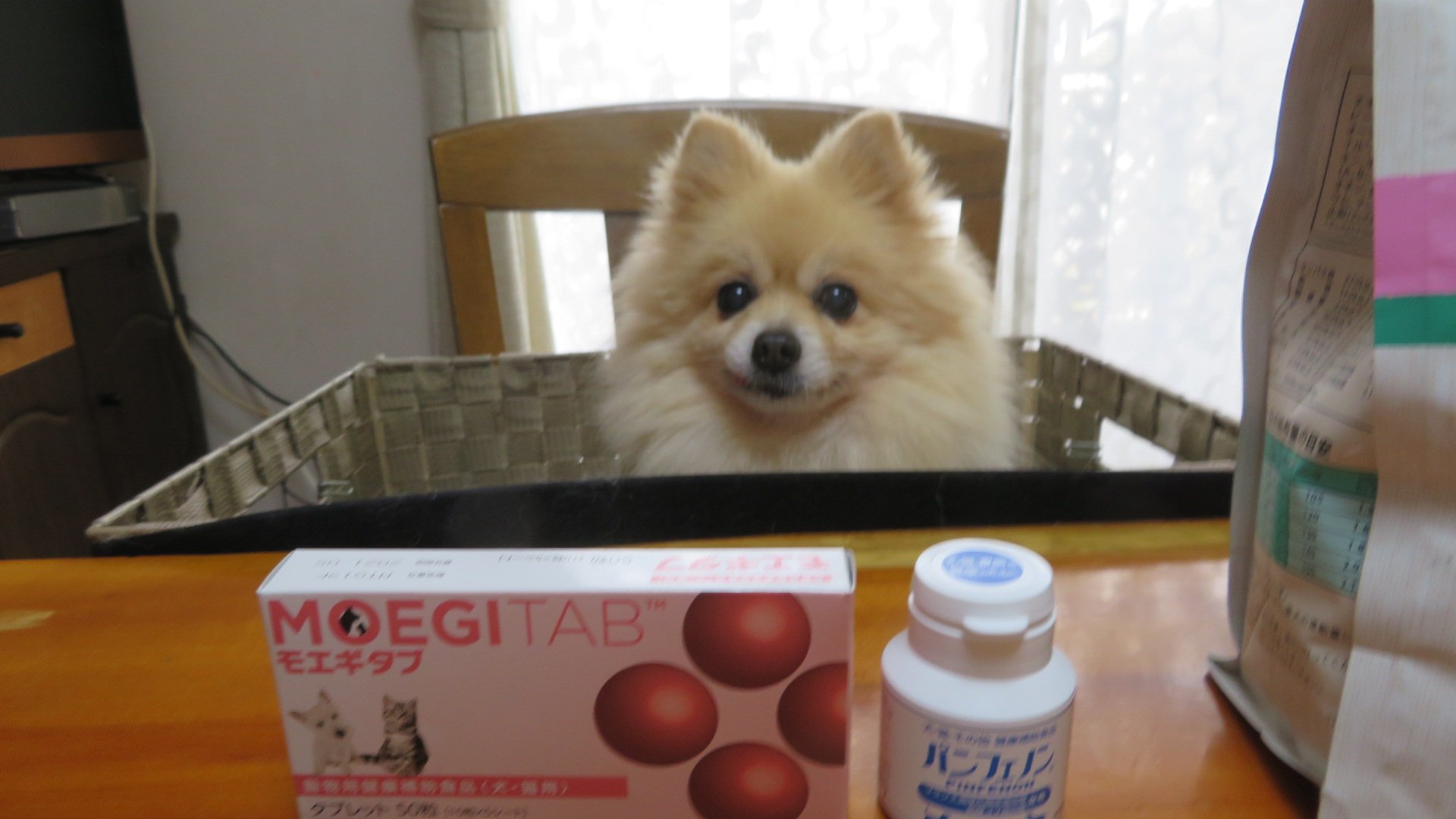 パンフェノン Twitter Search Twitter