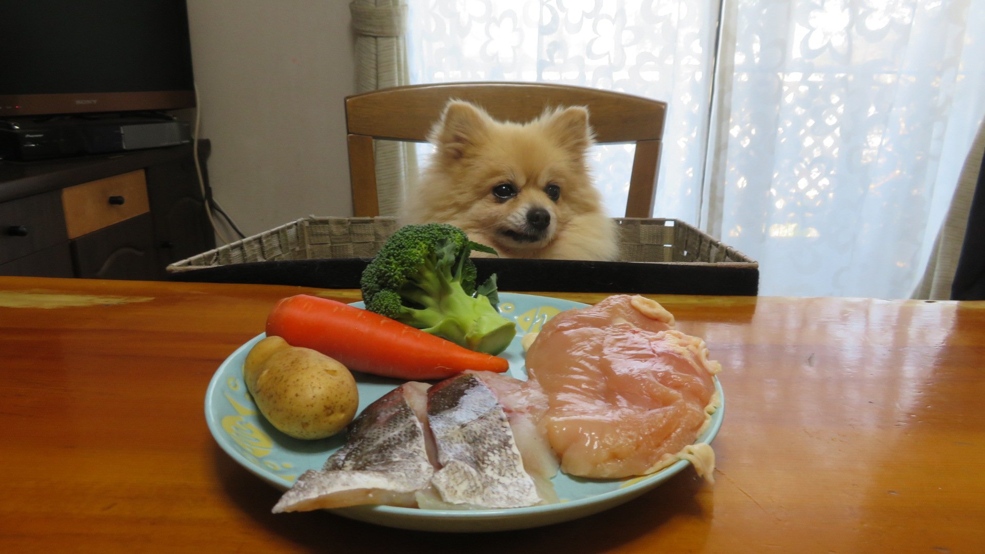 パンフェノン Twitter Search Twitter