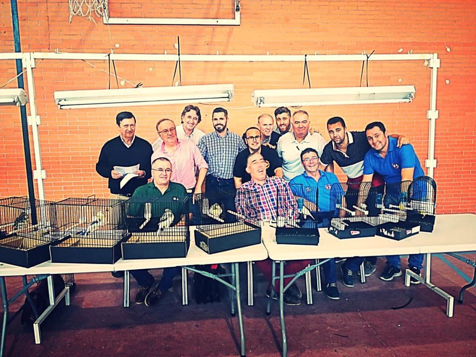 EspanolFife's tweet photo. Algunos Momentos vividos de los compañeros de afición en el VII Monográfico del #FIFEFANCY 2019 celebrado en el bonito concurso de La Asociacion Ornitológica Club del Cardenalito en los #palacios y Villafranca. 🐤 https://t.co/VQPUbhtGZ5