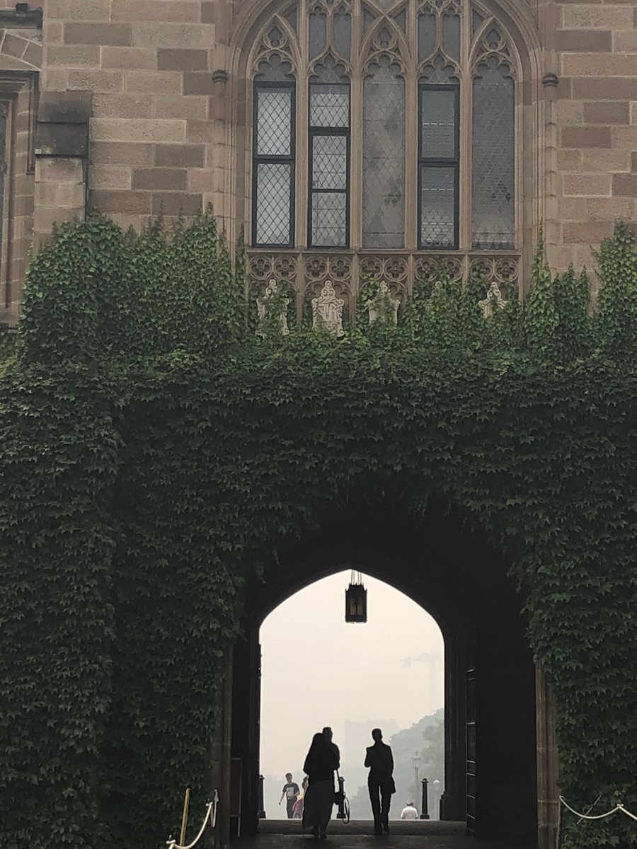 syd_health's tweet photo. And view from inside the main quad https://t.co/FSW2q58Xrk