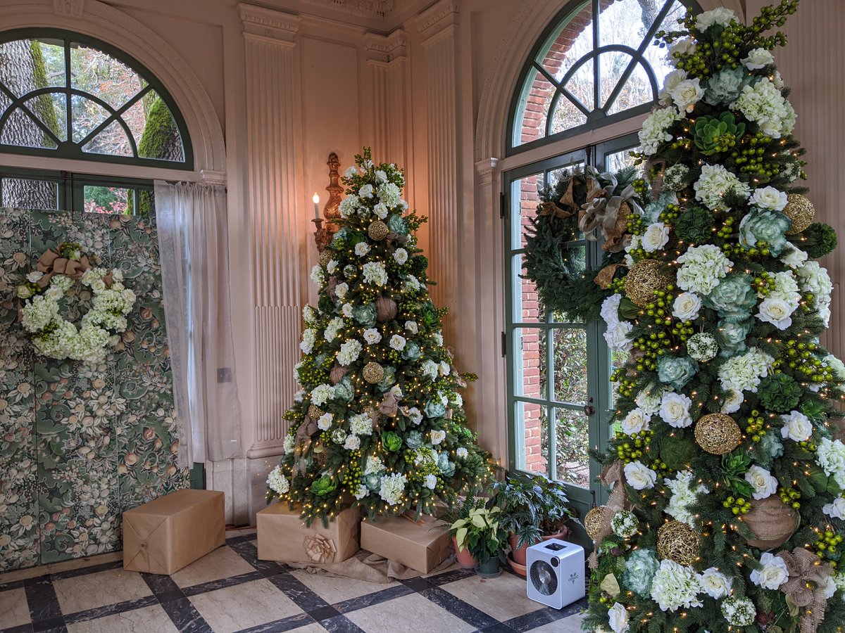 ClassiGetsSassi tweet media