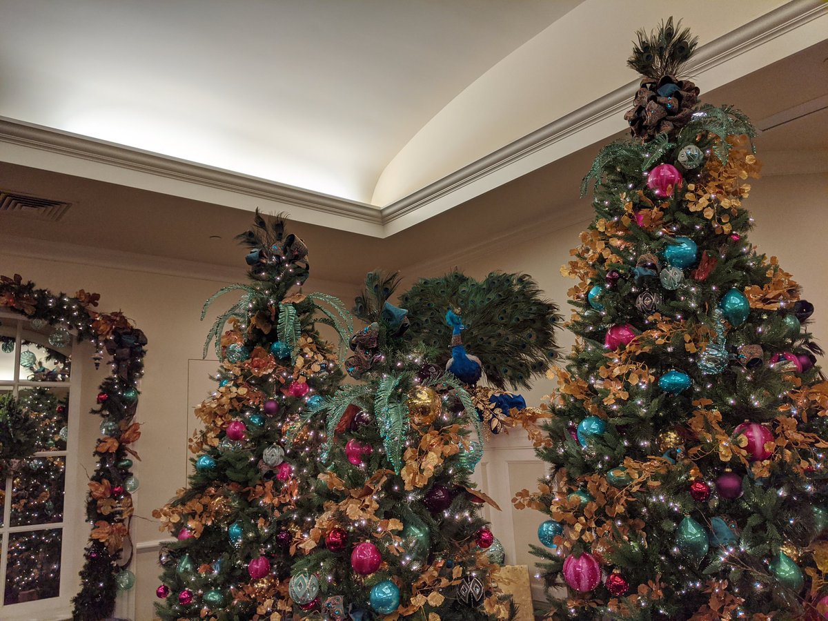 ClassiGetsSassi tweet media