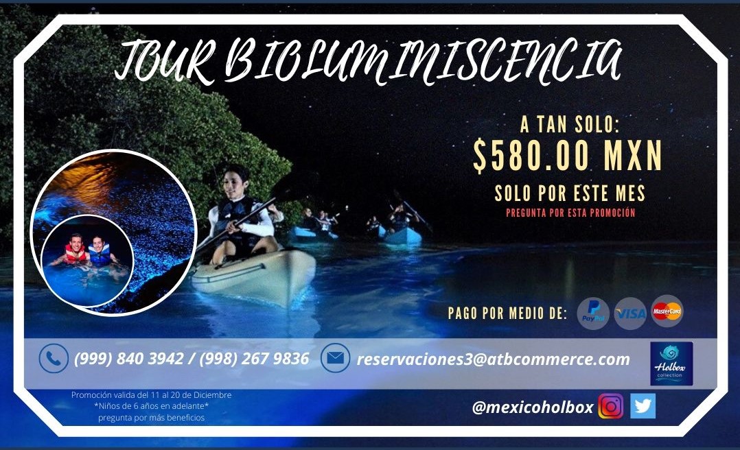 MexicoHolbox's tweet photo. TOUR DE BIOLUMINISCENCIA

Disfruta de una noche mágica en la Isla de Holbox en donde las estrellas y las luces del agua son una experiencia inolvidable.

Incluye:
Transportación 
Visor o mascarillas.
Botellas de Agua
Guía Bilingüe
Chaleco salvavidas https://t.co/qM97B49YTF