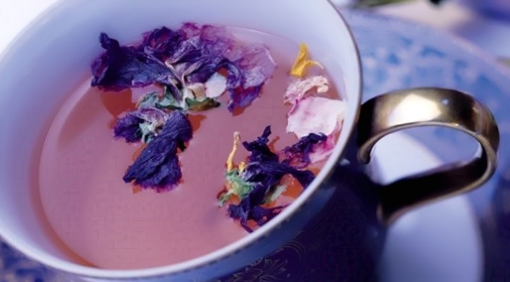 For it is the unembellished truth that Tea is the very essence of life, it is our salvation and the nectar of the gods. What is life without Tea? for I wish not to imagine such a grim day, and for those unfortunate enough to not have access to Tea you are in my prayers. ☕️☕️☕️