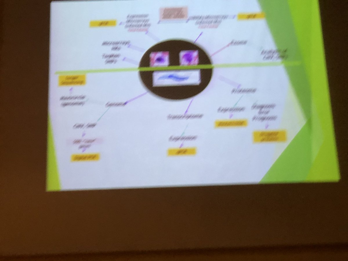 Iehchel's tweet photo. Edith Fernández Figueroa y la Infectómica Computacional en Leishmaniasis. Edith nos habla de ecología, inmunidad y tecnologías ómicas en la Semana de la Biología Computacional en el @INMEGEN 

#SemanaBioComp
#CompBioFest https://t.co/AC37fDTZeW