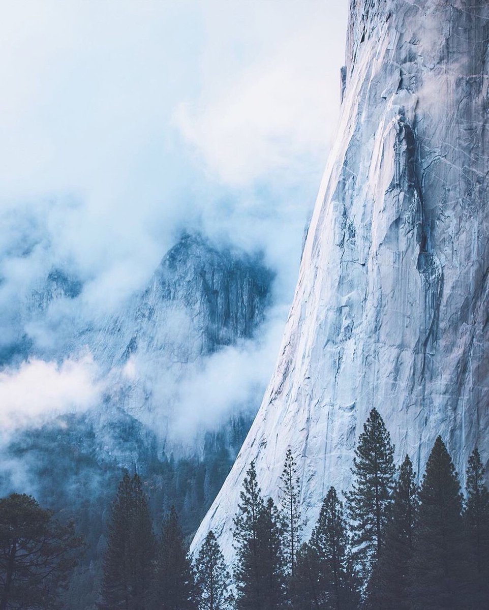 Foggy mornings in Yosemite National Park California.