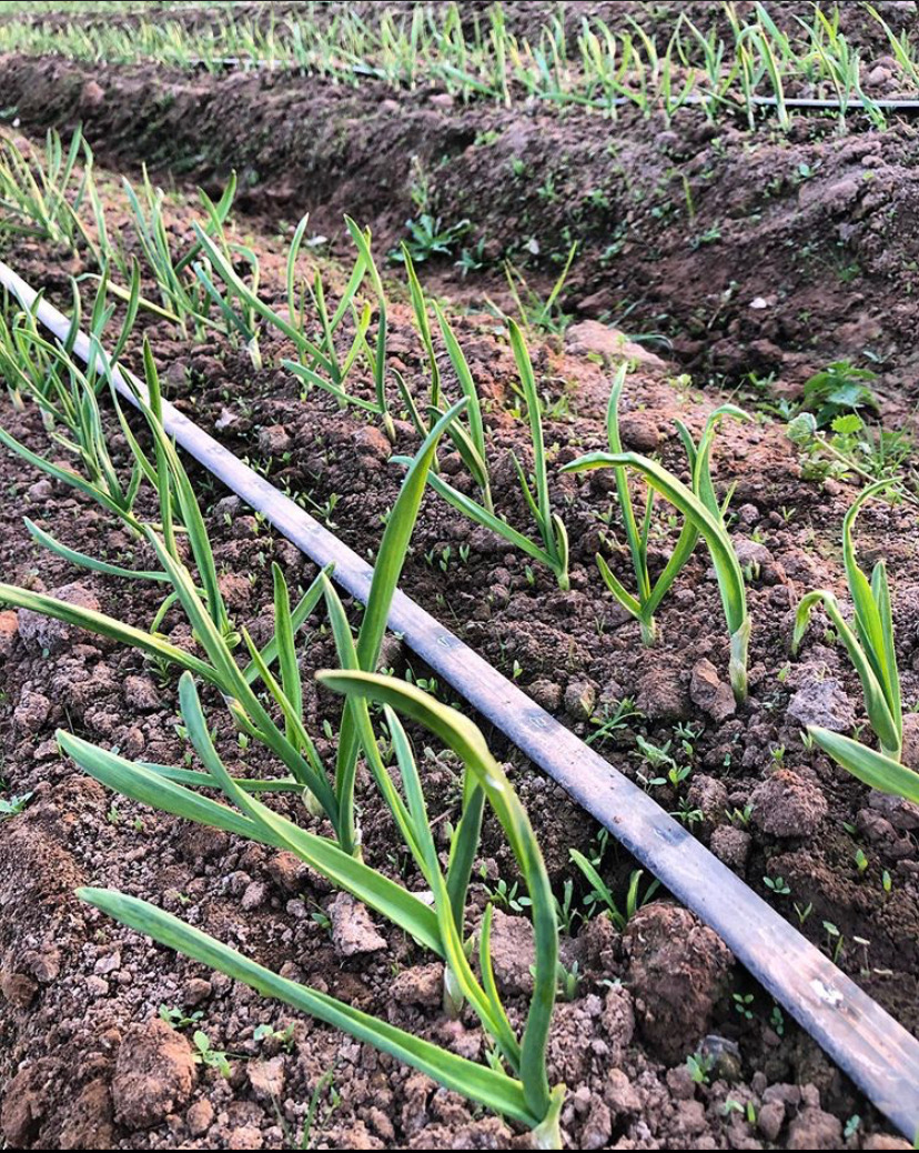 ERB Public House tweet media