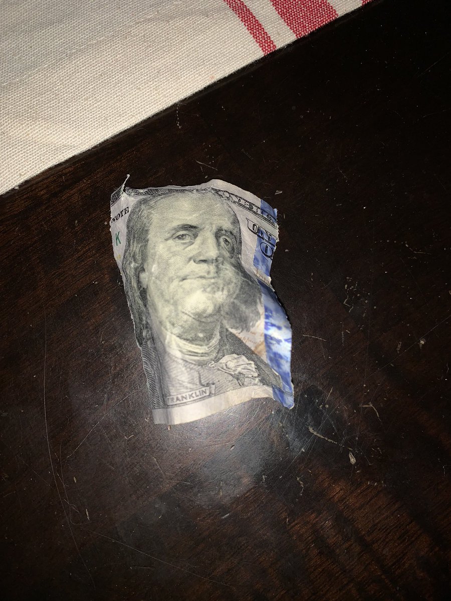 Pitcrewprincess's tweet photo. THIS DOG!!!
Get a Great Dane, it’ll be fun they said. They’re so sweet and derpy, won’t hurt a fly. Craddock - 1
$100 Bill - 0
#greatdane #spoiledfurries
#servicedogsrule #FREEDOG https://t.co/piYl9fwI2D