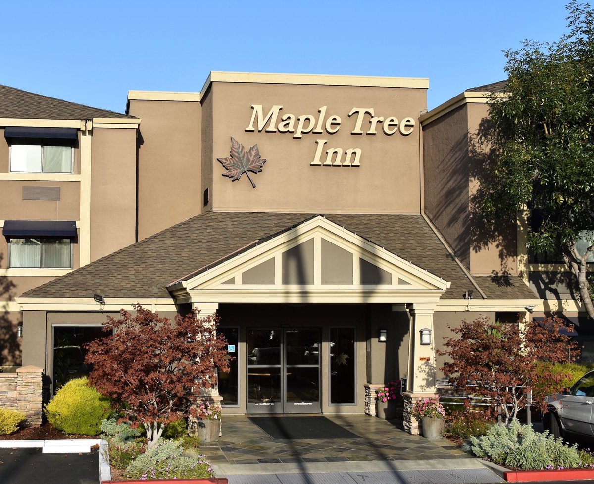 TheMapleTreeInn's tweet image. "Very good hotel to stay in. Nice breakfast. There is a fitness centre, a swimming pool and a jacuzzi. Very friendly staff as well." Thanks for the 5 Star Google Review on @TheMapleTreeInn. #mapletreeinn