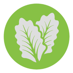 MBAFoodCon's tweet photo. MBA Food Con 2020 is gearing up! This year's conference theme is Building our Sustainable Food Network and will be hosted by NC State in Talley Student Union. Get your tickets today below for great speakers, discussion and food! 

https://t.co/vDCqkOTq2i https://t.co/RngvWMnmkH