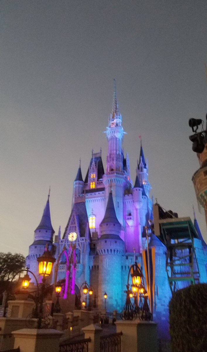 Engr_Ken's tweet photo. @TheDisneyDouble We saved you a spot for the castle lighting! https://t.co/ZOtobGKga1