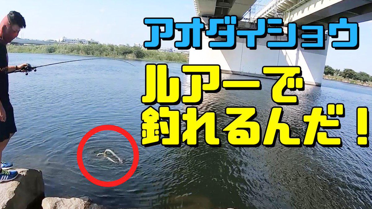 釣って食べるyoutube 釣りします ゆうや おはようございます ご視聴いつもありがとうございます そして高評価やコメントもありがとう御座います 多摩川 河口湖 T Co Hbmttu2aqr 今回は初めてのブラックバス釣行したらルアーで 釣って食べるyoutube 釣りします ゆうや おはようございます ご視聴いつもありがとうございます そして高評価やコメントもありがとう御座います 多摩川 河口湖 T Co Hbmttu2aqr 今回は初めてのブラックバス釣行したらルアーで