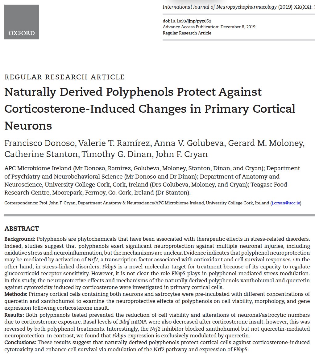 jfcryan's tweet photo. Naturally Derived Polyphenols Protect Against Corticosterone-Induced Changes in Primary Cortical Neurons -Congrats @fpdonosov on your first PhD paper out https://t.co/xUHsXxdwaU https://t.co/L2ppzRw5hm