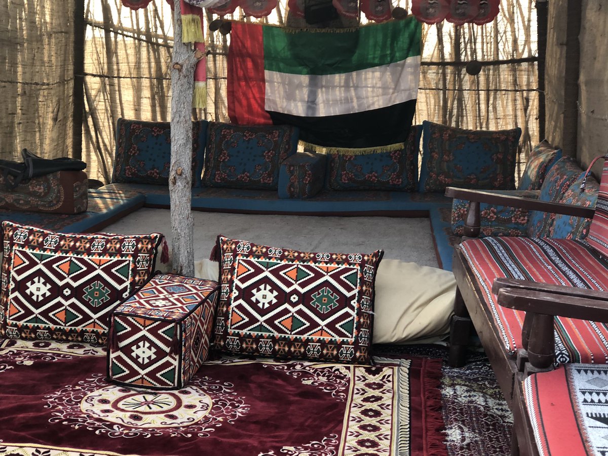 RobinGanzert's tweet photo. I visited a #camel farm today, and had a great bonding experience with the animals.  This one touched my heart. . . 💕🐪 #AbuDhabi #WednesdayMotivation #camels #americanhumane https://t.co/n5RID9o4QD