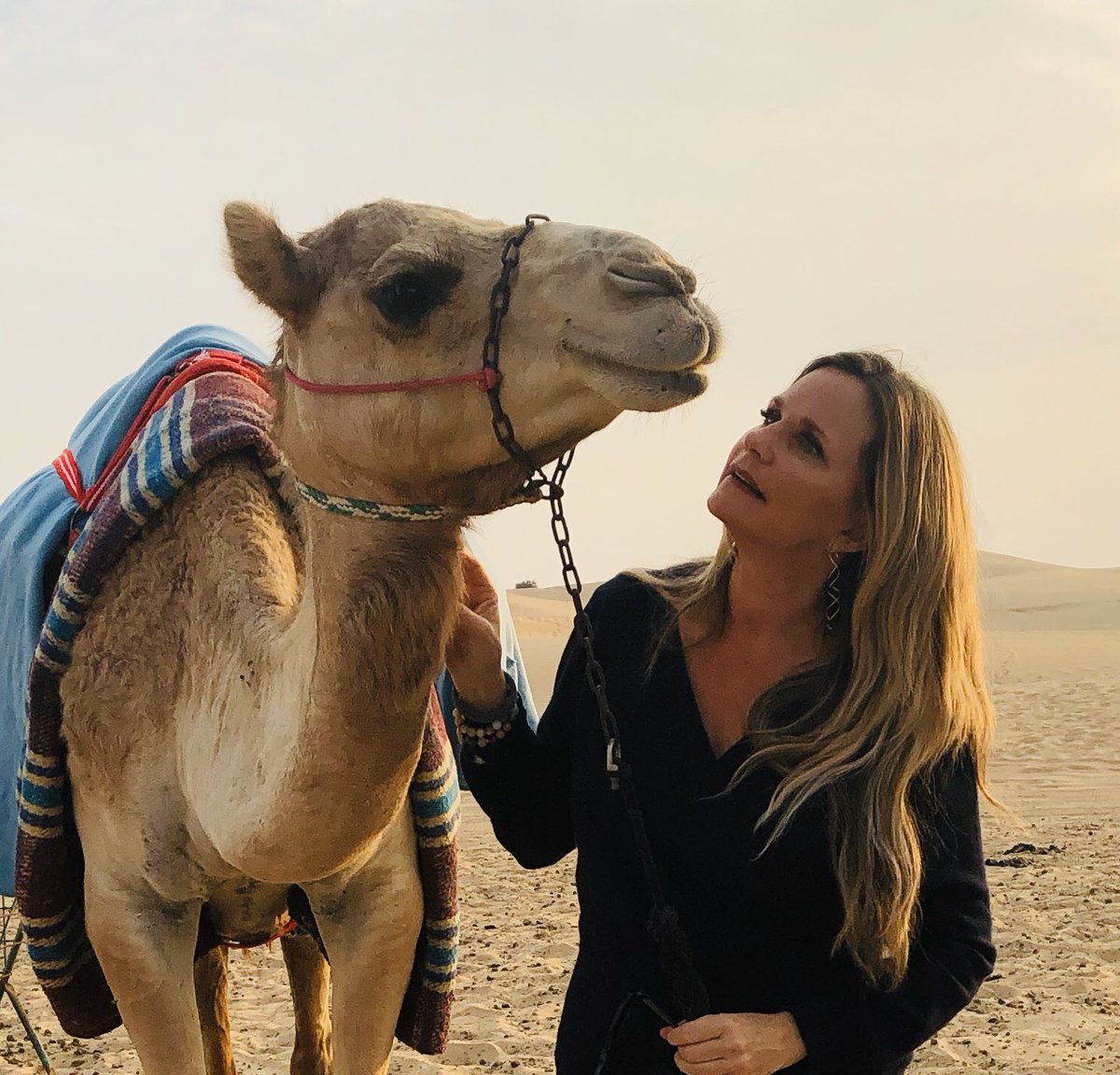 RobinGanzert's tweet photo. I visited a #camel farm today, and had a great bonding experience with the animals.  This one touched my heart. . . 💕🐪 #AbuDhabi #WednesdayMotivation #camels #americanhumane https://t.co/n5RID9o4QD