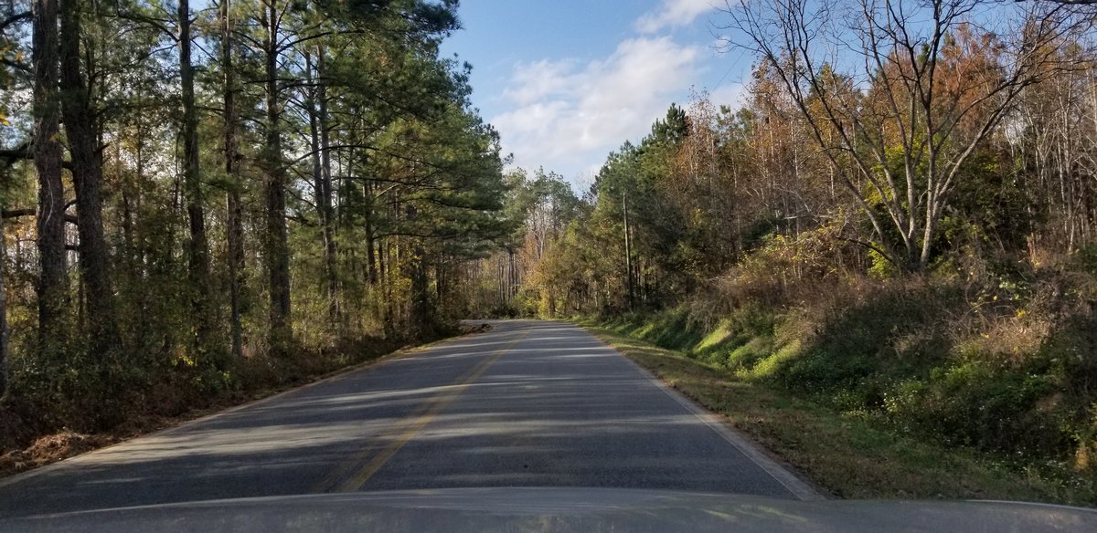 Chattahoochee, Florida Rd!  So green so quiet here.