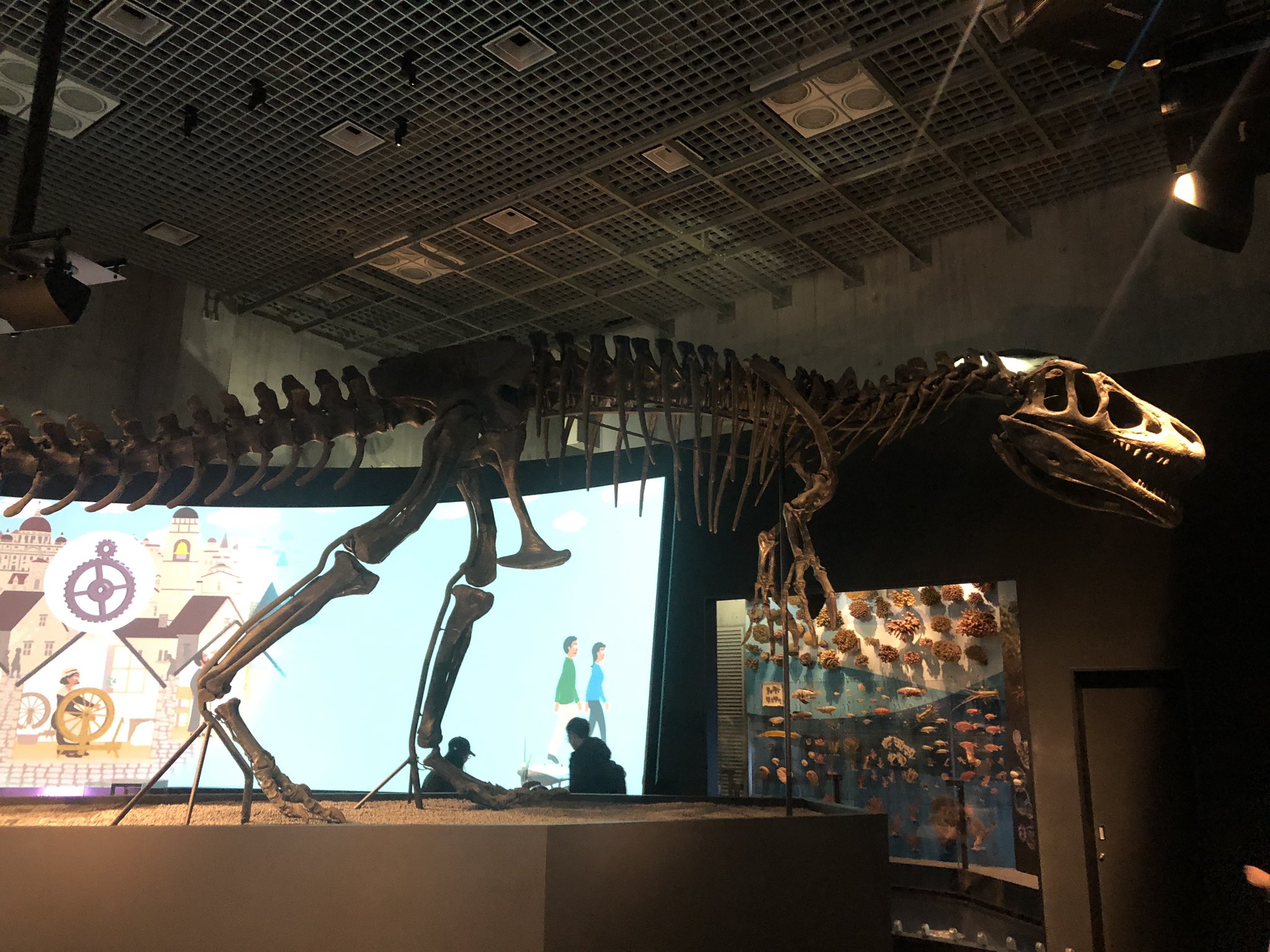 ゴマホビー on Twitter 