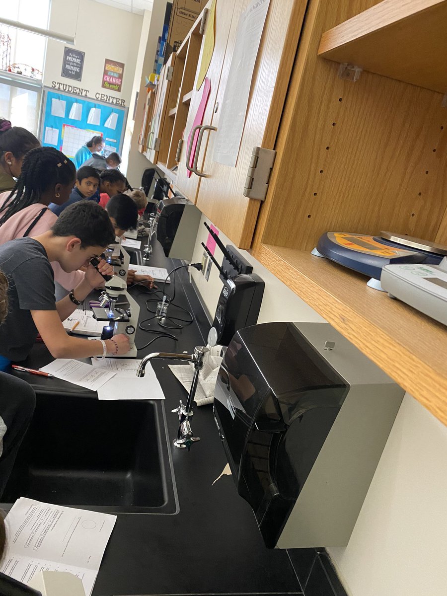 Freeman7Science's tweet image. Ssssooooo excited!! I love when my kids get to use the microscopes. Today we learned how to create a wet mount slide and the proper way to use a microscope. Getting us ready for next week when we look at LIVE protists. #MPMSleopards #7Science #Cells #Microscopes